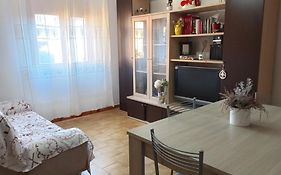 Gelsomino Bianco