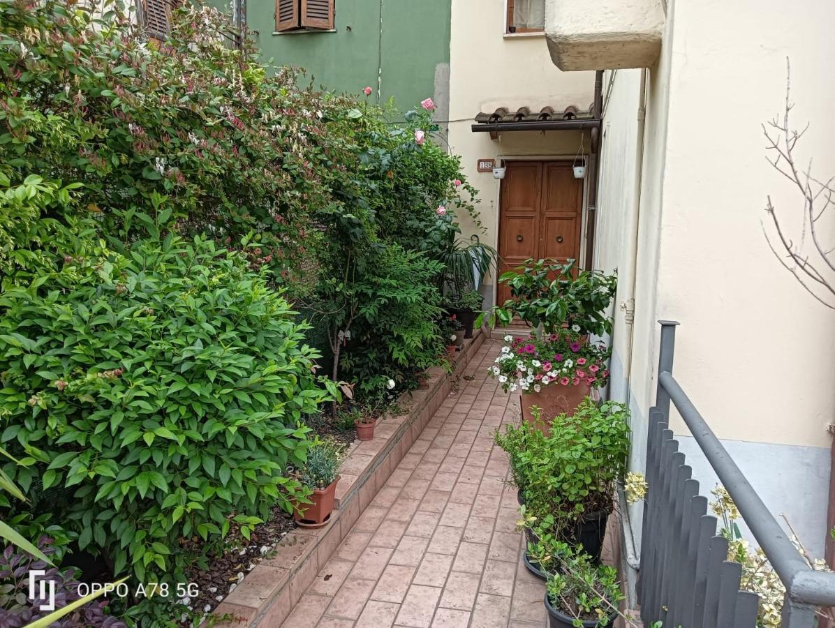 Gelsomino Bianco Appartamento Terni Esterno foto